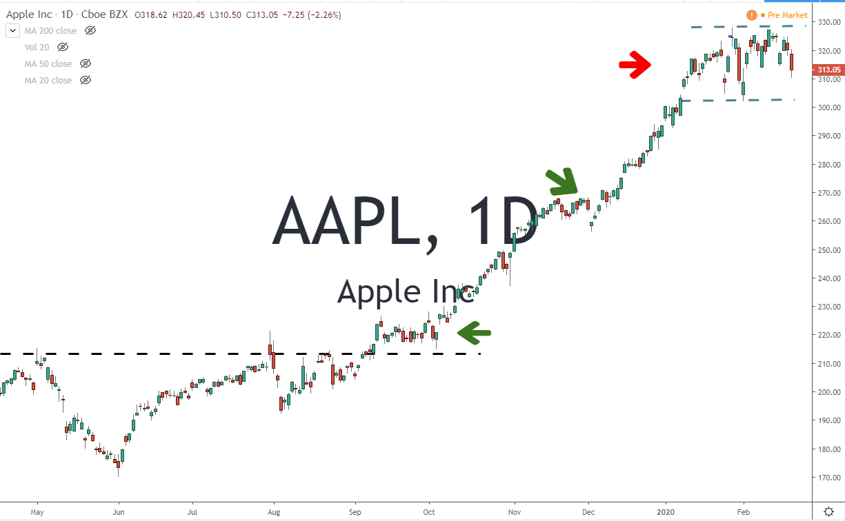 AAPL Apple Inc Stock Chart 2-24-20
