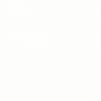 bullet points (4)