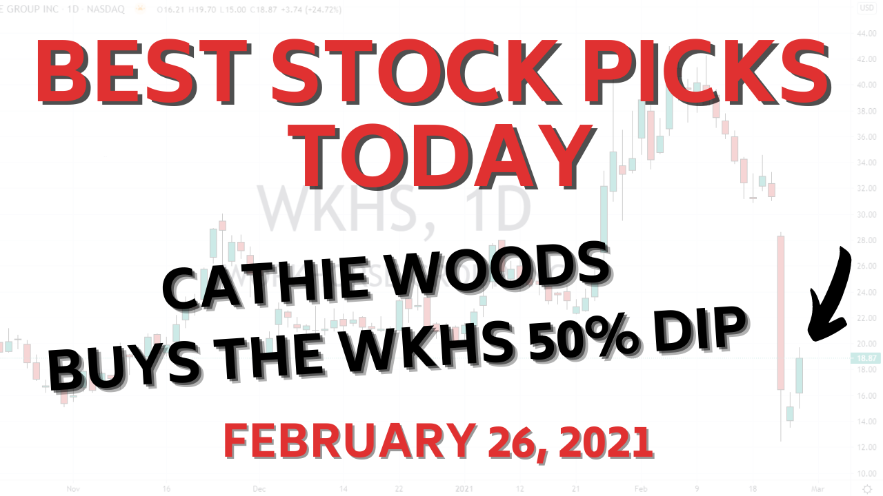 Cathie Wood's Ark Invest buys WKHS