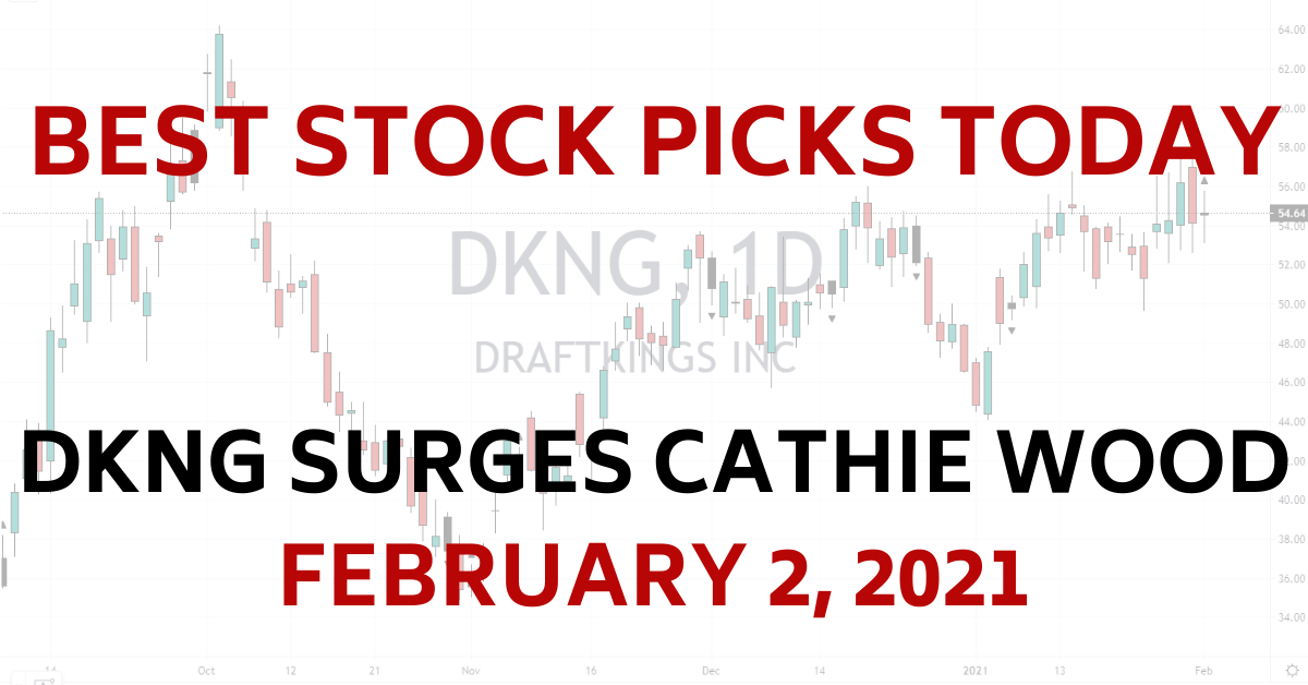 DKNG DraftKings Cathie Wood Best Stock Picks Today 2-2-21