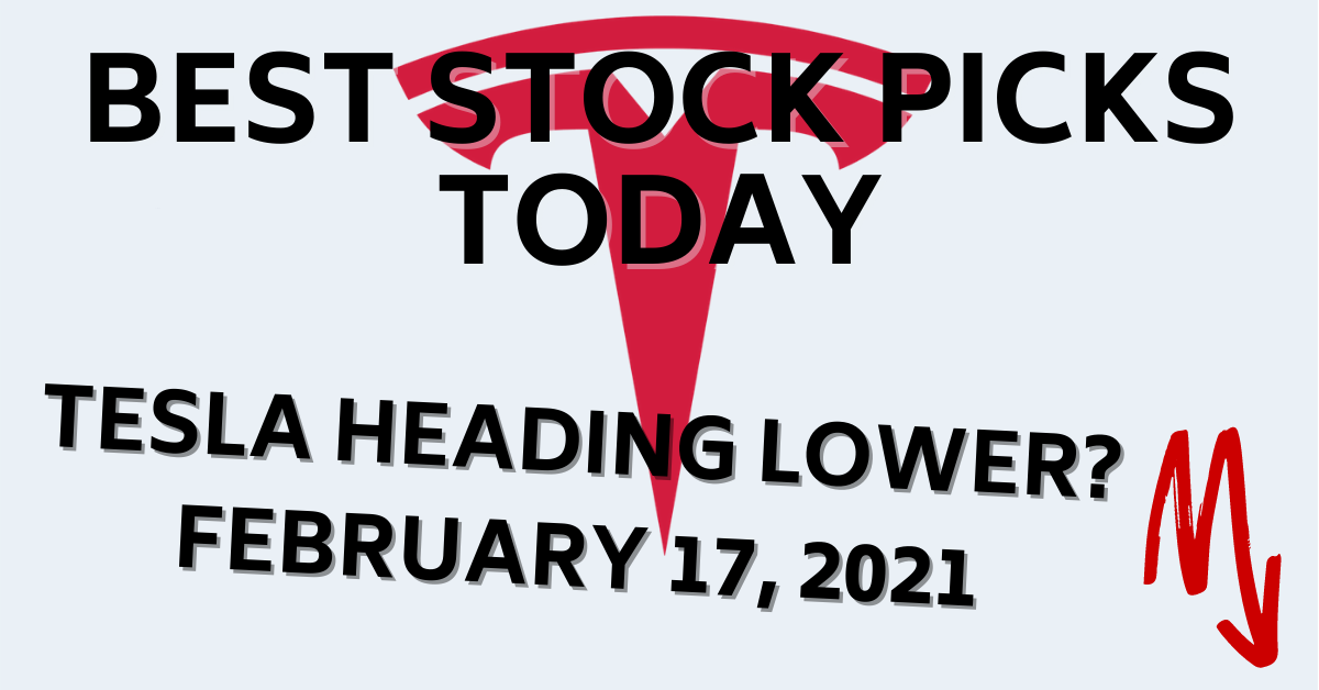 TSLA Tesla Stock Forecast Best Stock PIcks Today 2-17-21