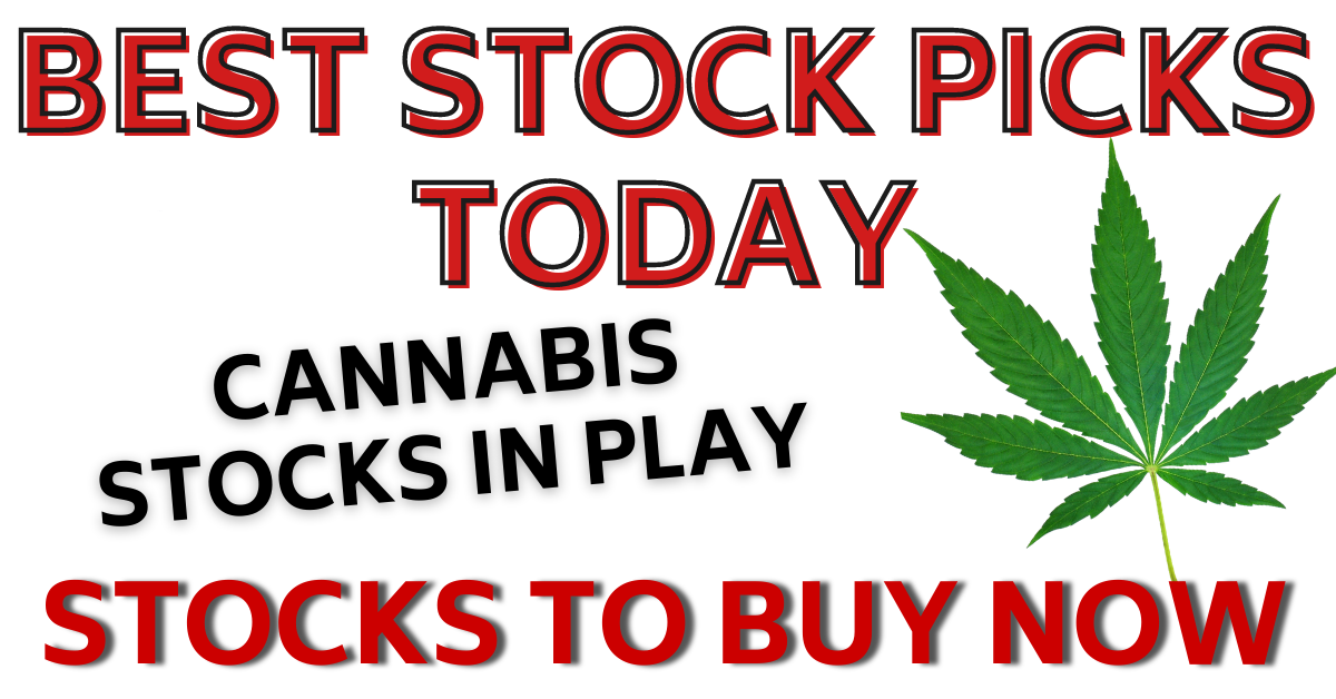 Cannabis stocks best stock picks today 3-16-21